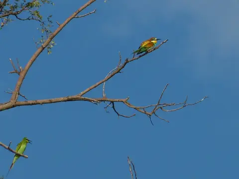 P1000094.jpg