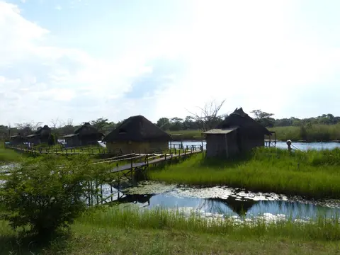 P1000188.jpg