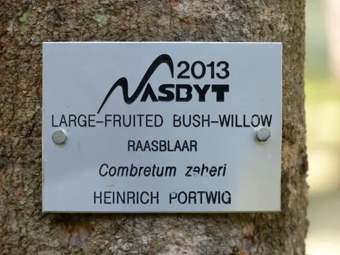 P1000205.JPG