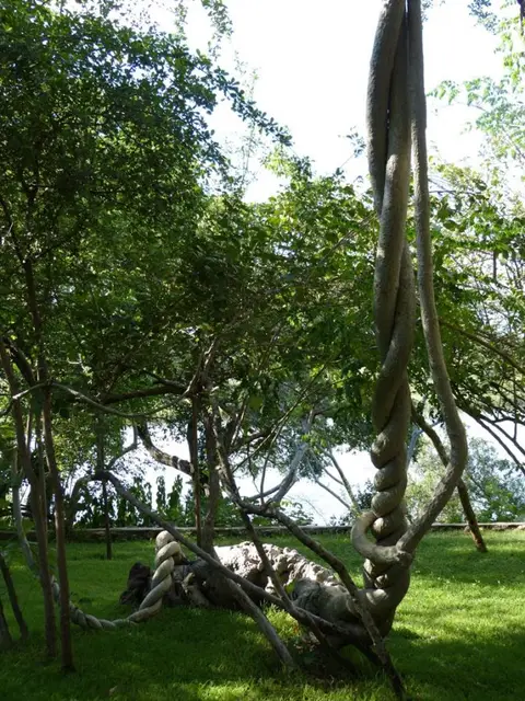 P1000266.jpg