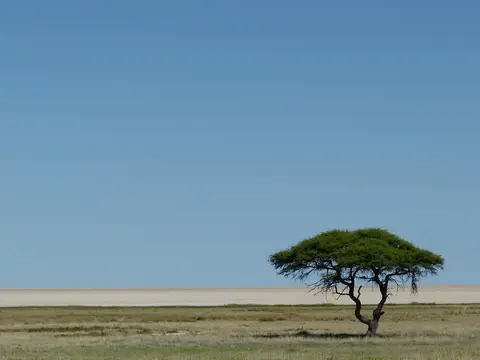 P1000428.jpg