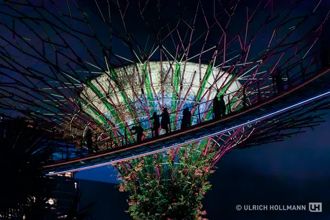 IMG_1734-Verbessert-RR.jpg