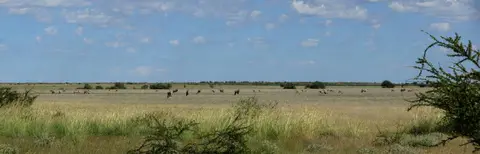 09.01LandschaftumXadeundPiperPans18.jpg