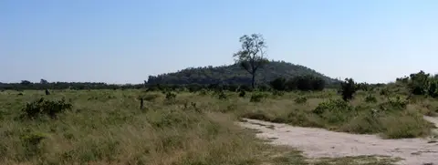 12.01Savuti01.jpg