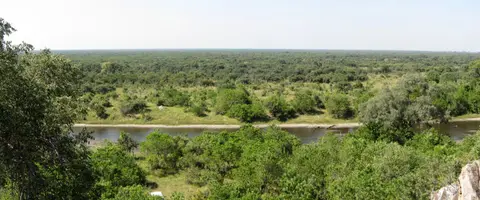 12.01Savuti04.jpg