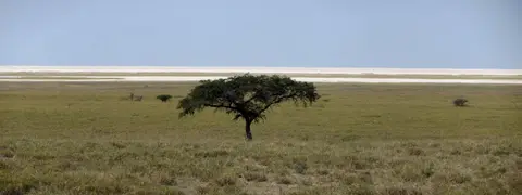 17.01FahrtnachKubuIsland04.jpg