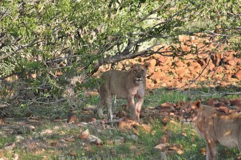 DSC_2841.JPG