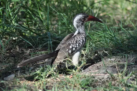 DSC_6188.JPG