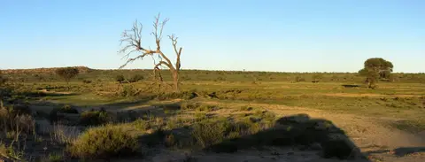 h40e8565.jpg