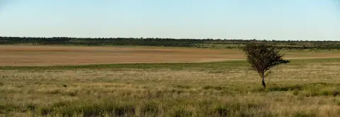h5752af0.jpg