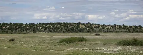 k-04.04LandschaftanderToweundZonyePan01.jpg