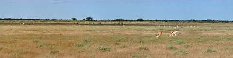 k-09.01LandschaftumXadeundPiperPans11.jpg