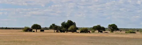 k-09.01LandschaftumXadeundPiperPans12.jpg