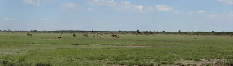 k-09.02LandschaftanderPhokojePans01.jpg