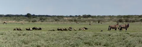 k-09.02LandschaftanderPhokojePans02.jpg