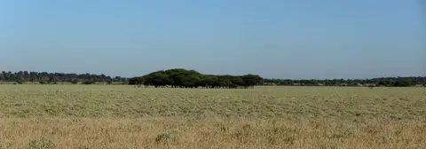k-11.02PirschfahrtinsPassargeValley05.jpg