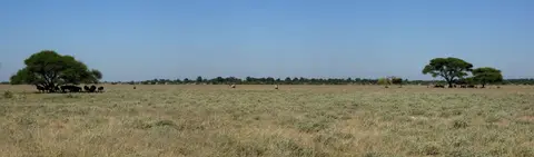 k-11.02PirschfahrtinsPassargeValley22.jpg
