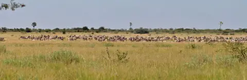 k-12.02FahrtüberTreeIslandzumOstausgang29.jpg