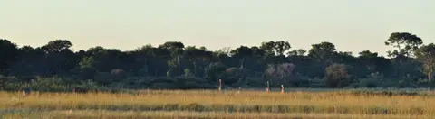 k-14.01KhaudumamMorgen15.jpg