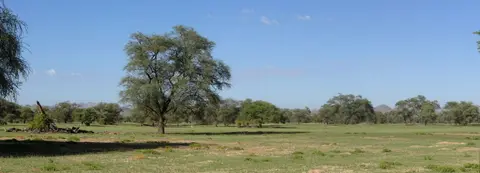 k-16.01VonPalmwaginddenGanamub03.jpg