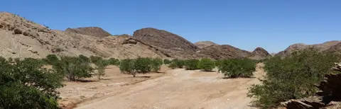 k-16.01VonPalmwaginddenGanamub04.jpg