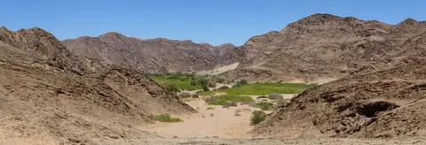k-16.01VonPalmwagindenGanamub08.jpg