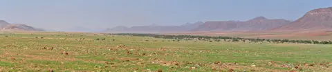 k-17.05VonOrupembebiszumHoarusib07.jpg