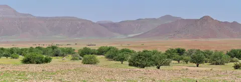 k-17.05VonOrupembebiszumHoarusib27.jpg