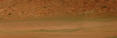 k-18.01.FahrtvonPurosnachAmspoort05.jpg