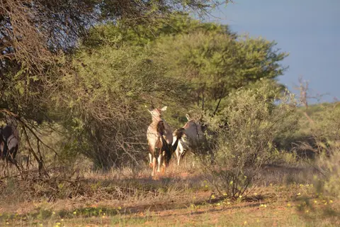 k-DSC_5587.JPG