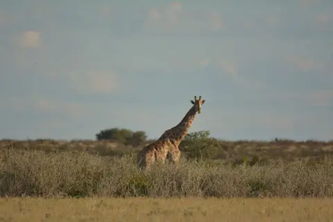 k-DSC_5943.JPG