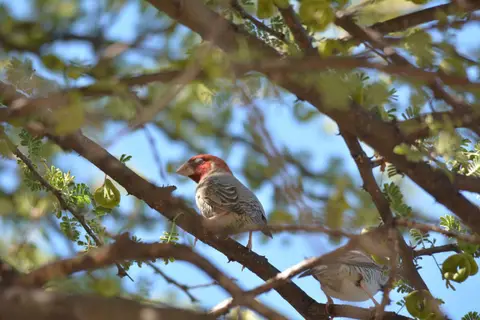 k-DSC_5989.JPG