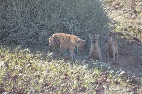 k-DSC_6455.JPG
