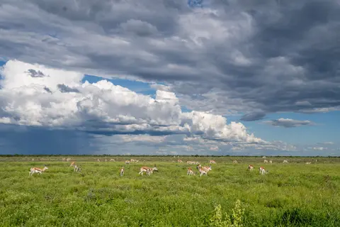 _DSC5533.jpg