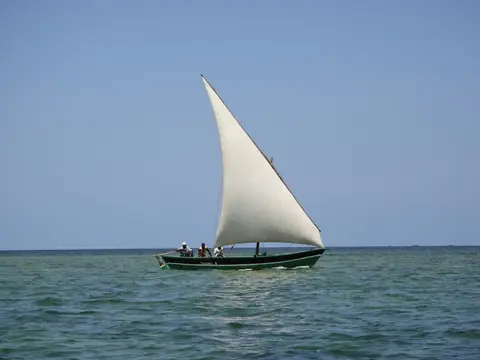 155.JPG