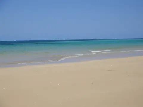 157.JPG