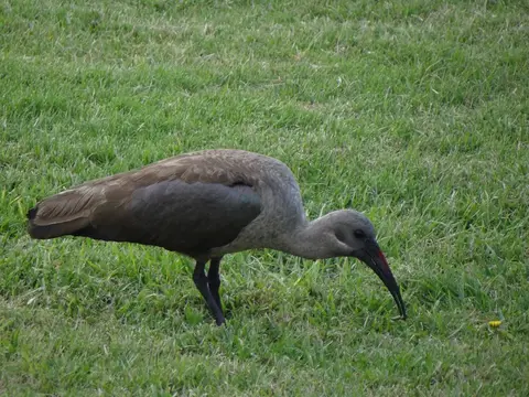 DSC05350.JPG