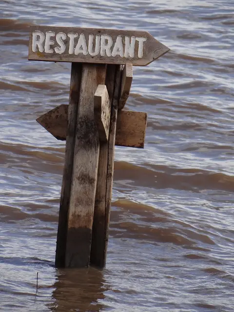 DSC07159-2.JPG