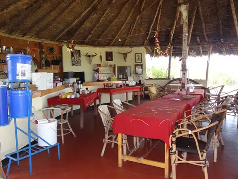 DSC07244-2.JPG
