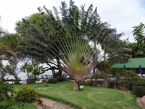DSC07907.JPG