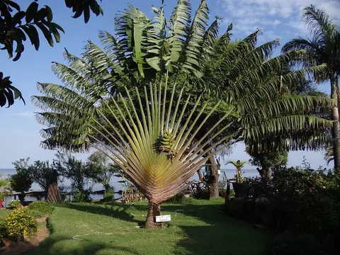 DSC08060.JPG
