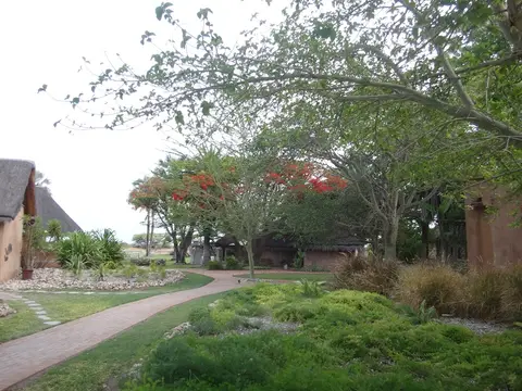 DSC08193.JPG