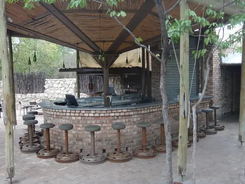 DSC08213.JPG