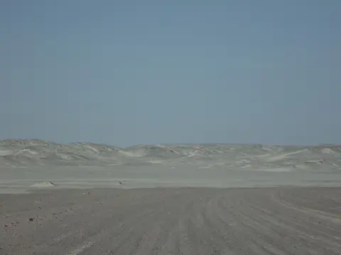 DSC08308.JPG