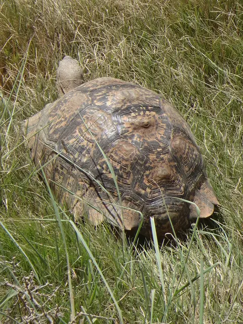DSC08922.JPG