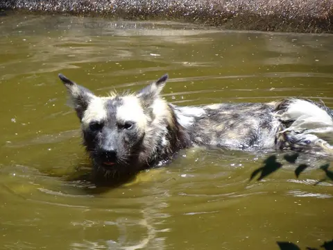 Mosambik2012044.JPG