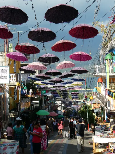 P1000325.JPG
