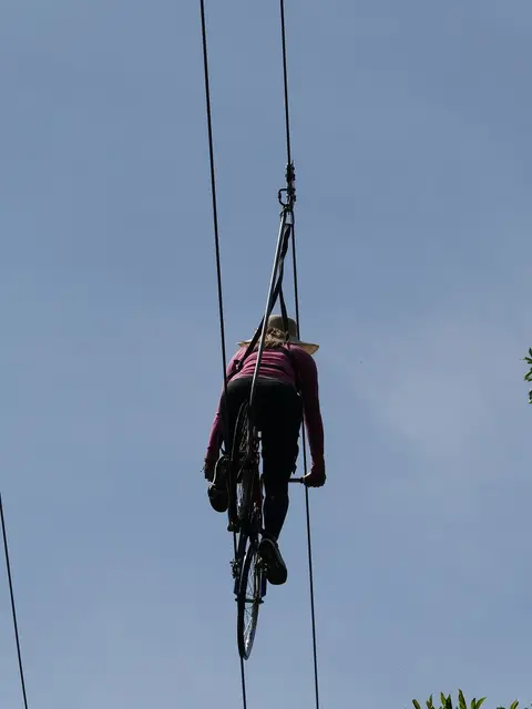 P1000391.JPG