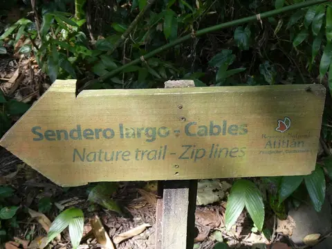 P1000407.JPG