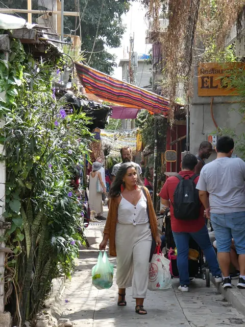 P1000556.JPG